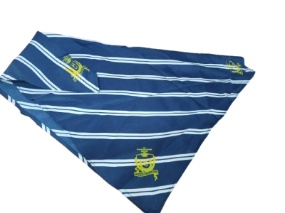 Stepping Stone Junior Scarfs