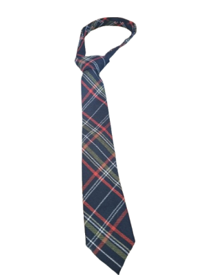 Stepping Checked School Tie Long