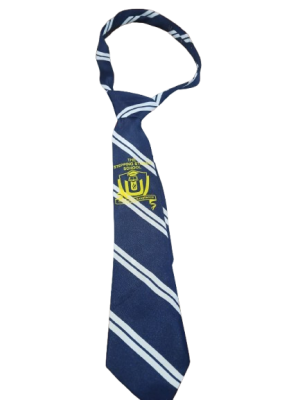 Stepping Stone Junior School Long Tie