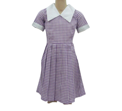 Checked Purple Dress 30